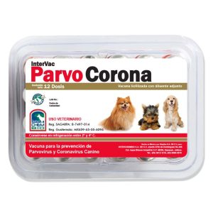 Vacuna parvo corona