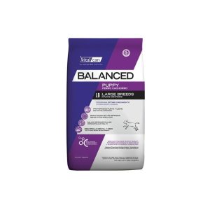 BALANCED CACHORRO RAZA GRANDE X 20 KG