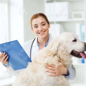 Certificado zoosanitario de viaje