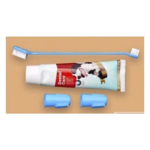 PASTA DENTAL CARE CON CEPILLOS NRO 6