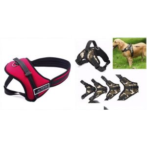 PECHERA K9 T/S PET DOG SENIOR  # 737