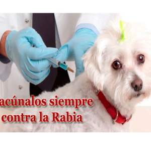Vacuna rabia