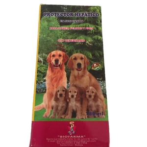 PROTECTOR HEPATICO JARABE