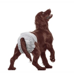 PAÑAL TALLA P HEMBRA