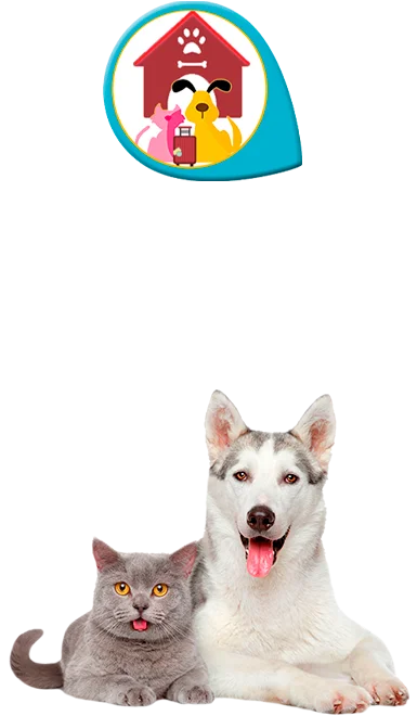pet-hoteleria